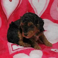 processed/c80f322c-8335-452e-92ad-beeabbe42ace/listing/931d1775-1426-4a1b-9af1-583bb9c383ae/c2d3b817-2083-4ef1-8a09-a1f49959c540