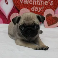 processed/c80f322c-8335-452e-92ad-beeabbe42ace/listing/c9e3e7cb-ddf1-4040-9b29-f5c209e84d20/533c34c4-ebda-41ca-956b-659d05627546