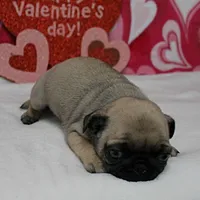 processed/c80f322c-8335-452e-92ad-beeabbe42ace/listing/c9e3e7cb-ddf1-4040-9b29-f5c209e84d20/570737eb-f3e9-4b64-9391-cc7e49f661e1