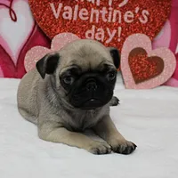 processed/c80f322c-8335-452e-92ad-beeabbe42ace/listing/c9e3e7cb-ddf1-4040-9b29-f5c209e84d20/6aa5fbc3-8bbb-4905-8445-e1265c1a2cc3