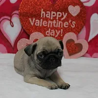 processed/c80f322c-8335-452e-92ad-beeabbe42ace/listing/c9e3e7cb-ddf1-4040-9b29-f5c209e84d20/7cdd562d-d7f1-49d3-b3e7-d3f1d9fb5da6