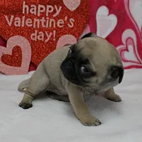 processed/c80f322c-8335-452e-92ad-beeabbe42ace/listing/c9e3e7cb-ddf1-4040-9b29-f5c209e84d20/85abc848-0661-4019-9175-c6e6d3405c7f