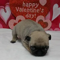 processed/c80f322c-8335-452e-92ad-beeabbe42ace/listing/c9e3e7cb-ddf1-4040-9b29-f5c209e84d20/8c2f1928-abcf-4e25-ac1a-3c1f96da71e7