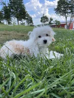 processed/c8148a91-f008-4a6e-9c9d-822f96737ef1/facility/466a8bbc-d378-4b39-bb65-43398f402d20