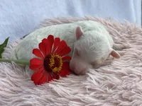 processed/c8148a91-f008-4a6e-9c9d-822f96737ef1/facility/dbea72e3-7954-4be3-99e9-4a9e50b77d05