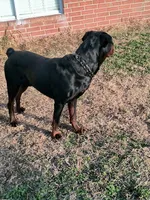 processed/c815c332-c449-4c87-8beb-44703f24d6b1/listing/53c4ada4-9b27-49df-b6c0-829dc93482f6/530ff5c7-e870-47cc-8b52-2936f1b2b522