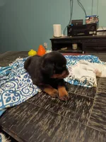 processed/c815c332-c449-4c87-8beb-44703f24d6b1/listing/53c4ada4-9b27-49df-b6c0-829dc93482f6/862c7fc5-5bf8-415b-9c04-5bf48d12c009