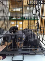 processed/c815c332-c449-4c87-8beb-44703f24d6b1/listing/83d54b10-54eb-4f5d-bd1a-5ea6a1165269/6b79ce7e-3cee-44e9-9a03-fc057f3438c6