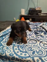 processed/c815c332-c449-4c87-8beb-44703f24d6b1/listing/83d54b10-54eb-4f5d-bd1a-5ea6a1165269/7b0c7897-a20e-4f6b-9982-c1b421316255