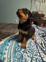 processed/c815c332-c449-4c87-8beb-44703f24d6b1/listing/96c20af0-5082-4803-bc3f-676ce3ce579c/26cdc0af-6ef3-46f6-bef8-ada85c5f9651