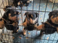 processed/c815c332-c449-4c87-8beb-44703f24d6b1/listing/987ce6e6-0b06-472a-a88c-90f51e440ce7/29227268-db1e-4bc0-8571-7cdea5462048