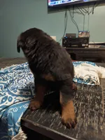 processed/c815c332-c449-4c87-8beb-44703f24d6b1/listing/987ce6e6-0b06-472a-a88c-90f51e440ce7/a8f87312-f0a0-423d-a7ae-4e0144c82a7a