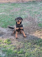 processed/c815c332-c449-4c87-8beb-44703f24d6b1/listing/987ce6e6-0b06-472a-a88c-90f51e440ce7/f671695a-3577-44f9-9d46-207e920c6b7e