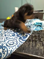 processed/c815c332-c449-4c87-8beb-44703f24d6b1/listing/db8ba000-52f0-4111-a10d-9368f5a2414c/2ca1689a-7a69-400a-811b-67aa0374df35