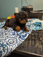 processed/c815c332-c449-4c87-8beb-44703f24d6b1/listing/db8ba000-52f0-4111-a10d-9368f5a2414c/9b5a9fad-f00e-413e-af15-1ebb0b3a76b9