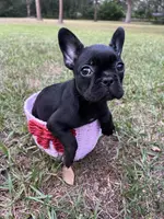 processed/c81deef4-114e-4e98-a14b-ea355bb5a7f2/listing/2537dd31-1d50-4509-a2c5-45dd09a69347/8a62563c-6e57-4cca-8bc5-dedde6cf341c