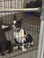 processed/c81deef4-114e-4e98-a14b-ea355bb5a7f2/listing/ff7ceea7-583f-4fbb-972e-2c869b4508eb/2365d1d6-cd38-4646-ad5a-f084464dcd67