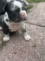 processed/c81deef4-114e-4e98-a14b-ea355bb5a7f2/listing/ff7ceea7-583f-4fbb-972e-2c869b4508eb/4513aff0-96b2-4fab-bd37-36033775904a