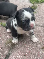 processed/c81deef4-114e-4e98-a14b-ea355bb5a7f2/listing/ff7ceea7-583f-4fbb-972e-2c869b4508eb/acb7a33a-fbfb-4e0e-8a28-30bd57f608bf