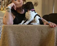 Rose , a female German Shorthaired Pointer for sale in Clear Lake, WI – 6 of 10