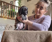Star, a female German Shorthaired Pointer for sale in Clear Lake, WI – 4 of 8