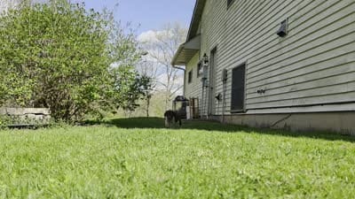 Eddie , a male German Shorthaired Pointer for sale in Clear Lake, WI – 6 of 6