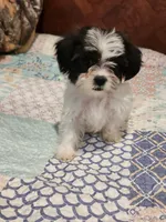 processed/c824ebe4-26bd-4376-b308-e7b5f68e9fee/listing/72d0bd03-eb31-4437-a91a-ca9de6b9919d/0dd8d614-7a9a-45ea-a3a3-fd851e50b40b