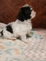 processed/c824ebe4-26bd-4376-b308-e7b5f68e9fee/listing/72d0bd03-eb31-4437-a91a-ca9de6b9919d/eb22f937-9b2b-43f4-9396-3451958cda29