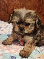 processed/c824ebe4-26bd-4376-b308-e7b5f68e9fee/listing/eb083b57-22e1-4235-a3a4-ca5826cc75b2/3a63813e-fc48-4bbf-af41-3b254e3fc2ee