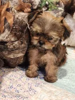 processed/c824ebe4-26bd-4376-b308-e7b5f68e9fee/listing/eb083b57-22e1-4235-a3a4-ca5826cc75b2/6238d1da-f7f0-4ce7-b7d9-85f0c29d091b