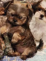 processed/c824ebe4-26bd-4376-b308-e7b5f68e9fee/listing/eb083b57-22e1-4235-a3a4-ca5826cc75b2/6f18caad-ef19-4525-9fd5-bb4af6a176e1