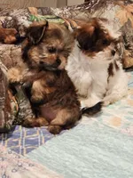 processed/c824ebe4-26bd-4376-b308-e7b5f68e9fee/listing/eb083b57-22e1-4235-a3a4-ca5826cc75b2/c2f7027e-3f70-4e2a-a085-8449ace00e1b