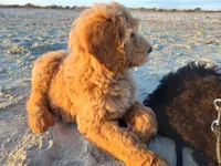 processed/c82af7d3-7f04-4d6e-b2c3-b4ea183ed2f7/facility/1143f57a-07c5-41aa-9980-1668e44cc889