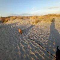 processed/c82af7d3-7f04-4d6e-b2c3-b4ea183ed2f7/facility/5918b67b-79d8-42a5-8405-3d889873cebf