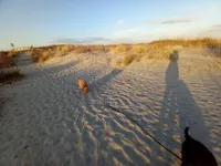 processed/c82af7d3-7f04-4d6e-b2c3-b4ea183ed2f7/facility/5918b67b-79d8-42a5-8405-3d889873cebf