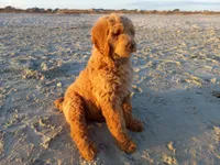 processed/c82af7d3-7f04-4d6e-b2c3-b4ea183ed2f7/facility/83ed5c1b-e684-4c79-ad94-70c6c60a2aaf