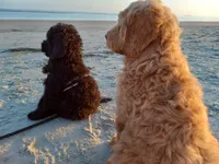 processed/c82af7d3-7f04-4d6e-b2c3-b4ea183ed2f7/facility/a4448189-ae95-40cb-a08b-9ee31799b566