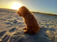 processed/c82af7d3-7f04-4d6e-b2c3-b4ea183ed2f7/facility/b7560793-7327-4194-8a65-e9cf8c759734