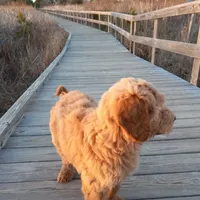 processed/c82af7d3-7f04-4d6e-b2c3-b4ea183ed2f7/facility/e701c5ea-cde3-4f2c-bd47-1e9ecea5f04d