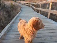 processed/c82af7d3-7f04-4d6e-b2c3-b4ea183ed2f7/facility/e701c5ea-cde3-4f2c-bd47-1e9ecea5f04d