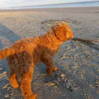 processed/c82af7d3-7f04-4d6e-b2c3-b4ea183ed2f7/facility/fadcd717-8f5e-4ca9-bd6f-dce4de7a9822