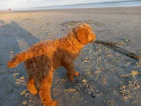 processed/c82af7d3-7f04-4d6e-b2c3-b4ea183ed2f7/facility/fadcd717-8f5e-4ca9-bd6f-dce4de7a9822