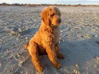 processed/c82af7d3-7f04-4d6e-b2c3-b4ea183ed2f7/listing/07f5455e-9010-4407-b957-a6f5fa4be0f8/16e4976a-fd84-42bc-aed2-278de6299da8