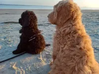 processed/c82af7d3-7f04-4d6e-b2c3-b4ea183ed2f7/listing/07f5455e-9010-4407-b957-a6f5fa4be0f8/d9cef15b-8b6a-431f-8856-c13f0c72ab07