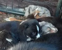 processed/c82af7d3-7f04-4d6e-b2c3-b4ea183ed2f7/listing/0e245b36-8a69-4170-9049-85f3a87dd456/031a15e6-a9b3-4cf4-9f49-2c90c4ec5eb0