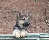 processed/c82af7d3-7f04-4d6e-b2c3-b4ea183ed2f7/listing/1eb615fc-aa54-46bb-b113-2a8abdf8532b/197e7fc6-fbd5-47e3-8efd-ba3126d0ddde