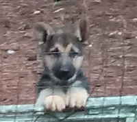 processed/c82af7d3-7f04-4d6e-b2c3-b4ea183ed2f7/listing/1eb615fc-aa54-46bb-b113-2a8abdf8532b/b3a22d31-32c7-4393-8e34-8552a101e4b4