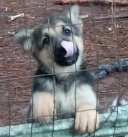 processed/c82af7d3-7f04-4d6e-b2c3-b4ea183ed2f7/listing/1eb615fc-aa54-46bb-b113-2a8abdf8532b/d08bd17f-d03a-4ed9-bf59-559936f1f3bf