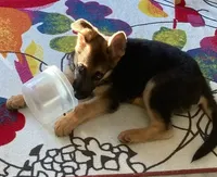 processed/c82af7d3-7f04-4d6e-b2c3-b4ea183ed2f7/listing/1eb615fc-aa54-46bb-b113-2a8abdf8532b/e022e709-7553-4a1e-af42-56461def491f