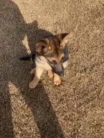 processed/c82af7d3-7f04-4d6e-b2c3-b4ea183ed2f7/listing/1eb615fc-aa54-46bb-b113-2a8abdf8532b/ee306d69-b73f-4e05-af18-b5a3c393f159